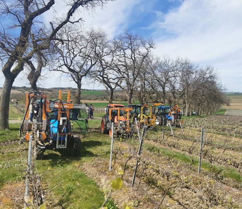 Machine de taille mécanisée dans les vignes